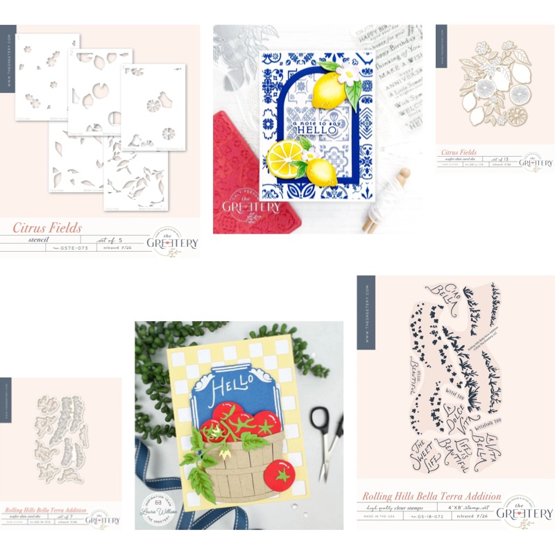 Clear Silicone Stamps For Card Making - Checks Out Citrus Fields Tampons en