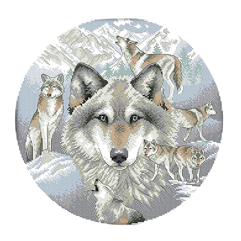 Kits de point de croix pré-imp - Cross Stitch Stamped Kits Beginners avis et prix